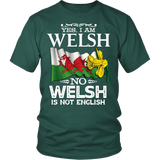 WELSH IS NOT ENGLISH A5 - cqd1hqovkf_6bpJwjS3fteCz3UejsVh5LWWrgYrxhDark_Green