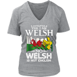 WELSH IS NOT ENGLISH A5 - dl9ip0fzqi_yrxP8nj49bV2rsRVRUfAbdyByPrVtpHeathered_Nickel