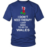 I JUST NEED TO GO TO WALES A8 - i-just-need-to-go-wales-a8-district-unisex-shirt-royal-blue-s-t-shirts-1sttheworld_577