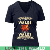I MAY NOT LIVE IN WALES T-SHIRTS NH1 - i-may-not-live-in-wales-t-shirts-nh1-district-womens-v-neck-navy-s-1sttheworld_795