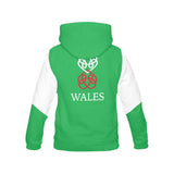 Wales Flag And Dragon Hoodie H7 - img10_15a171c3-dad4-409c-80c7-333a99360dff