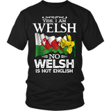 WELSH IS NOT ENGLISH A5 - ot3pbjg0ck_6bpJwjS3fteCz3UejsVh5LWWrgYrxhBlack