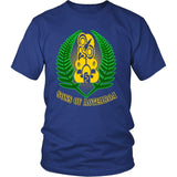 Son Of Aotearoa T Shirt V5 - son-of-aotearoa-t-shirt-v5-district-unisex-royal-blue-s-shirts-1sttheworld_189