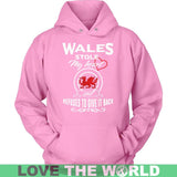 WALES STOLE MY HEART T-SHIRTS N1 - wales-stole-my-heart-t-shirts-n1-unisex-hoodie-pink-s-1sttheworld_697